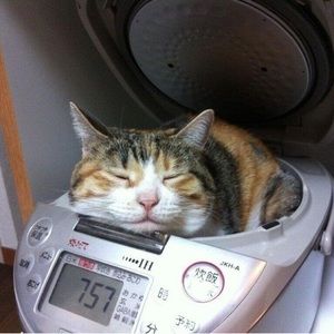 Meet your Posher, Maison